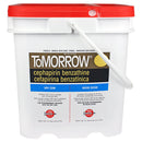 ToMorrow, Dry Cow