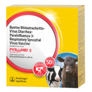 Pyramid 5 Vaccine, Modified Live Virus