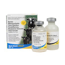 Bovi-Shield Gold FP5 Vaccine, Modified Live Virus