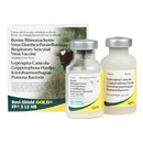 Bovi-Shield Gold FP5 L5 HB Vaccine, Modified Live Virus