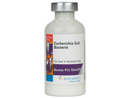 Bovine Pili Shield Escherichia Coli Cattle Vaccine