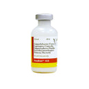 StayBred VL5 Cattle Vaccine, 20mL-10 dose