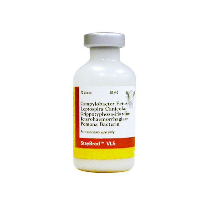 StayBred VL5 Cattle Vaccine, 20mL-10 dose