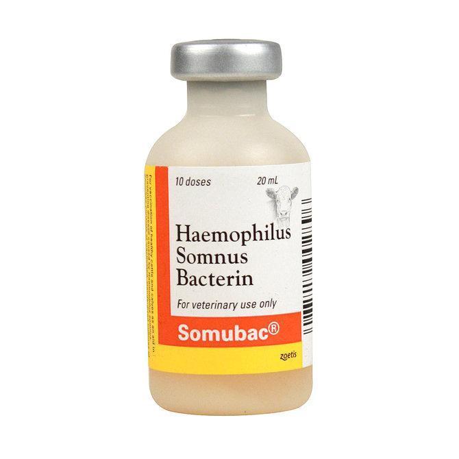 Somubac Haemophilus Somnus Bacterin Vaccine, 20mL-10 dose