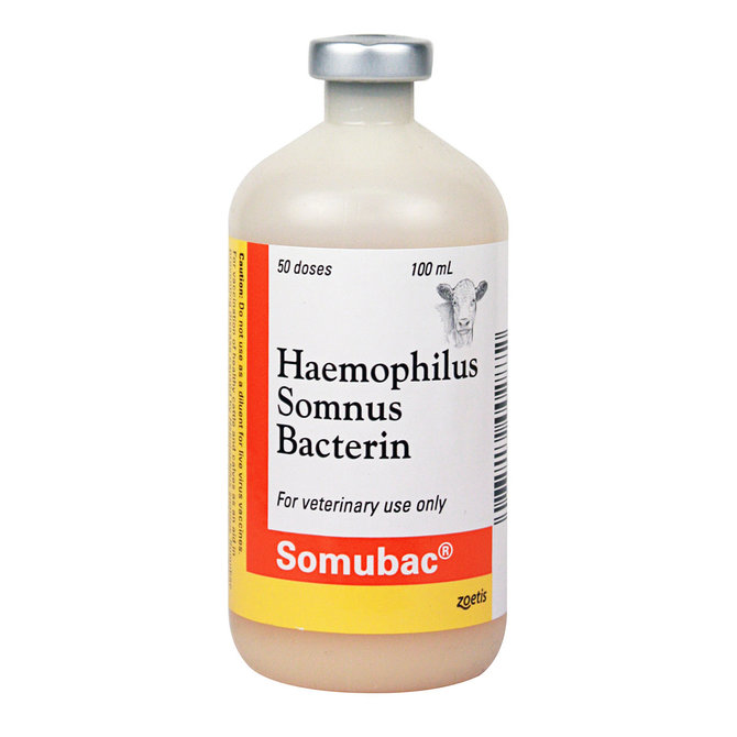 Somubac Haemophilus Somnus Bacterin Vaccine, 100mL-50 dose