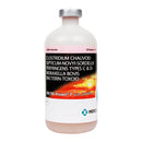 20/20 Vision 7 with Spur Cattle Vaccine