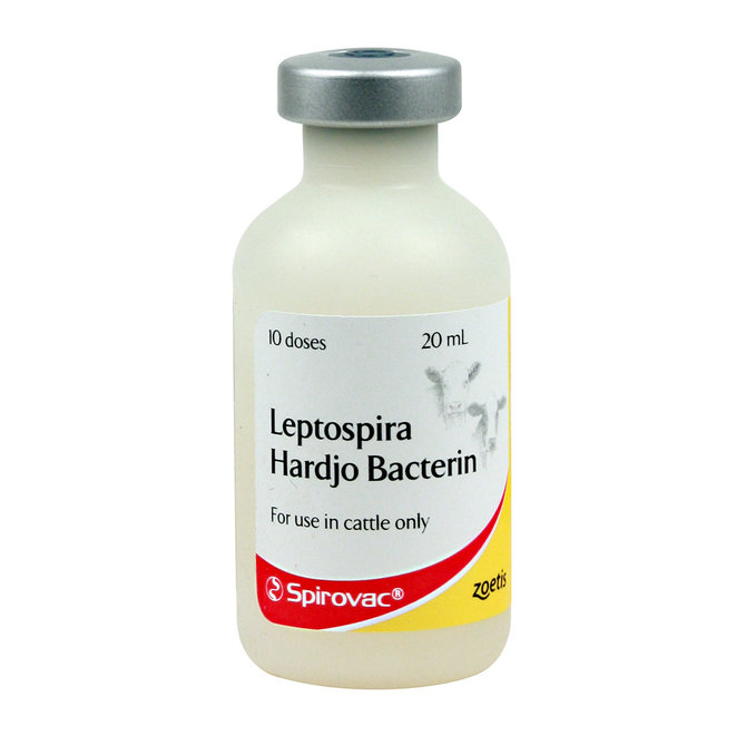 Spirovac Leptospira Hardjo Bacterin Cattle Vaccine, 20mL-10 dose