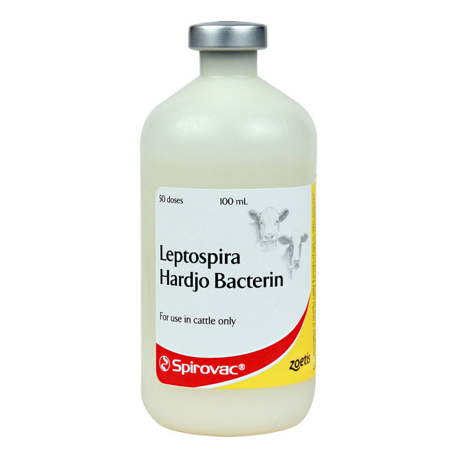 Spirovac Leptospira Hardjo Bacterin Cattle Vaccine, 100mL-50 dose