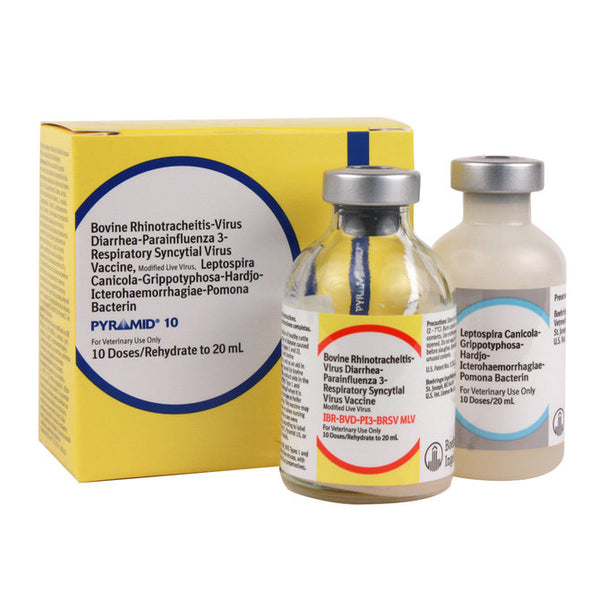 Pyramid 10 Vaccine, Modified Live Virus