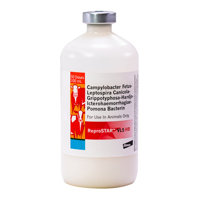 ReproStar VL5 HB Cattle Vaccine, 100mL-50 dose