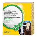 Pyramid 5 + Presponse SQ Vaccine, Modified Live Virus