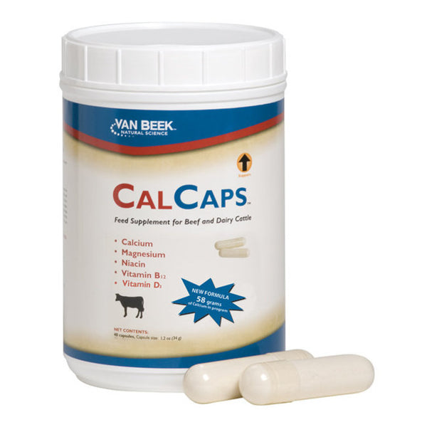 CalCaps Feed Supplement for Beef and Dairy Cattle