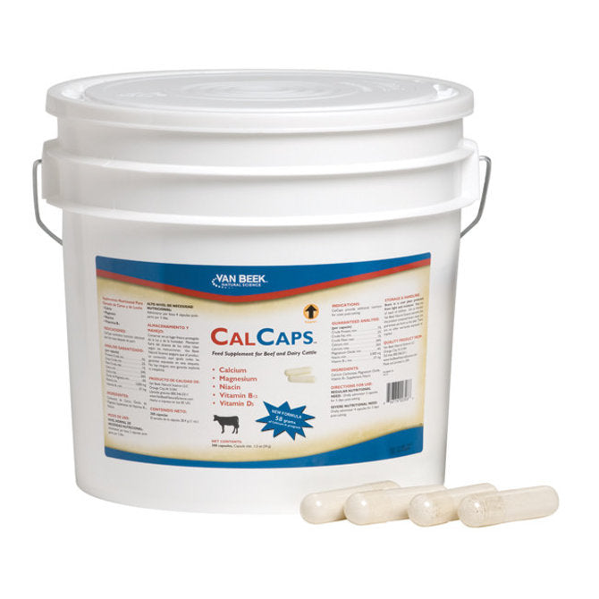 CalCaps Feed Supplement for Beef and Dairy Cattle