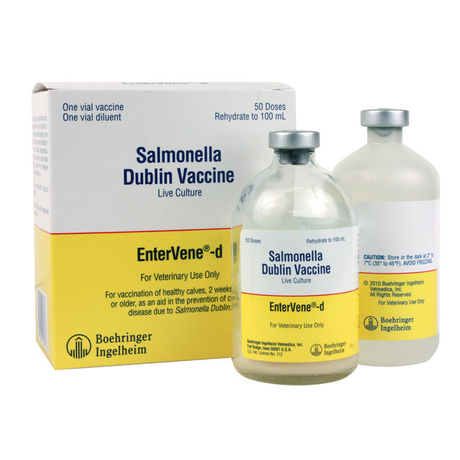 EnterVene-d Salmonella Dublin Vaccine, Live Culture