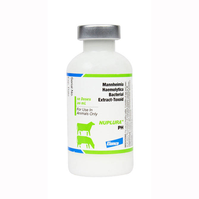 Nuplura PH Cattle Vaccine, 20mL-10 dose