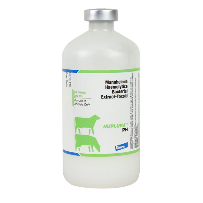 Nuplura PH Cattle Vaccine, 100mL-50 dose