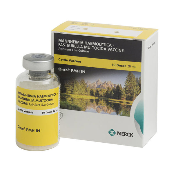 Once PMH IN Cattle Vaccine, Avirulent Live Culture, 20mL-10 dose