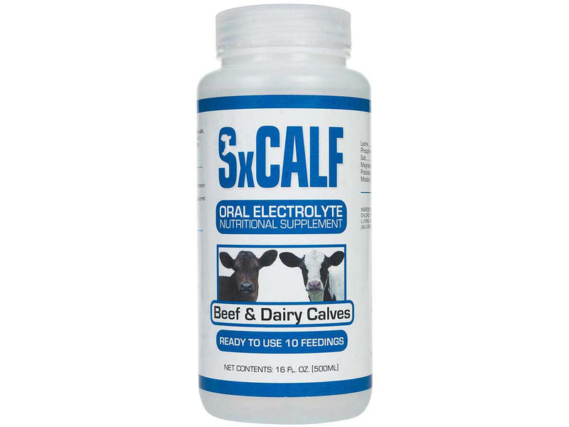 Sx Calf Oral Electrolyte