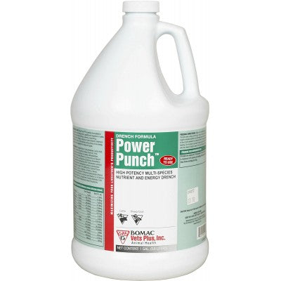 Power Punch High Potency Multi-Species Nutrient and Energy Drench
