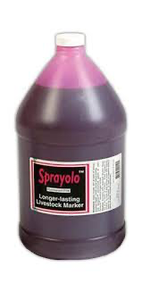 Sprayolo Ready to Use Livestock Marker, Pink, 1 Gallon