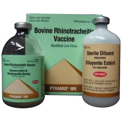 Pyramid IBR Vaccine, Modified Live Virus