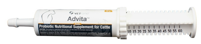 Advita Paste Probiotic Nutritional Supplement for Cattle, 60gm