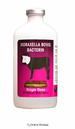 Maxi/Guard Pinkeye Bacterin Cattle Vaccine