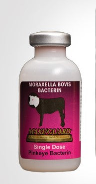 Maxi/Guard Pinkeye Bacterin Cattle Vaccine